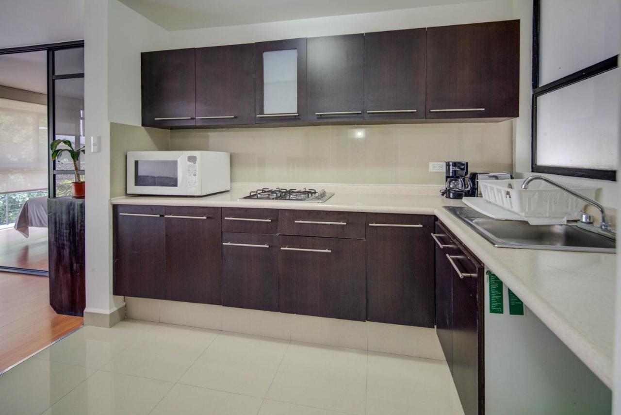 Grupo Kings Suites -Platon 436 Мехико Экстерьер фото